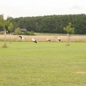  Ferienhaus Häusla